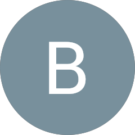 BRIAN N. Avatar